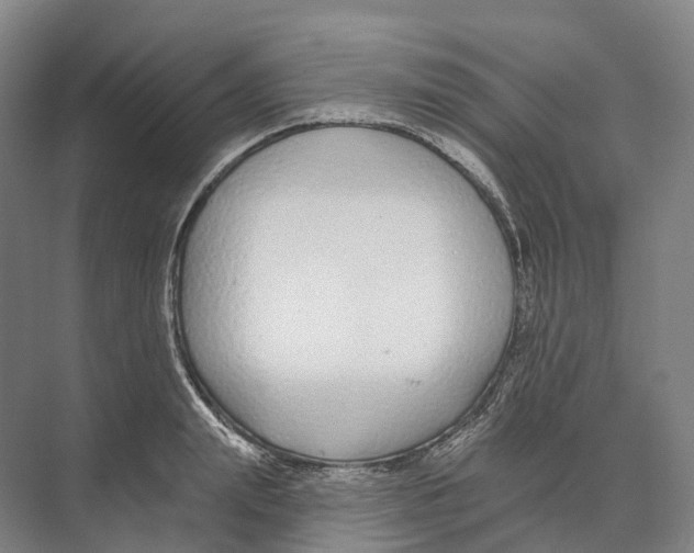 X0000073990847200609181740