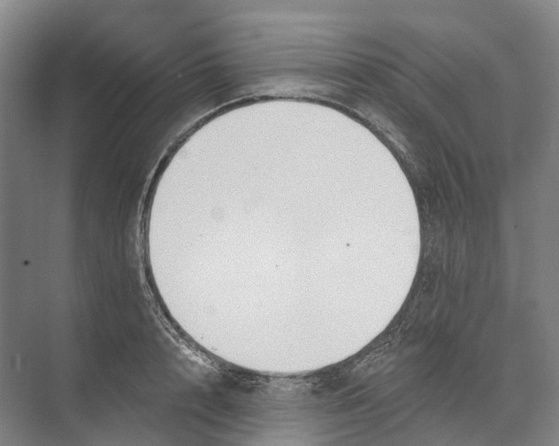 X0000073990848200609181740