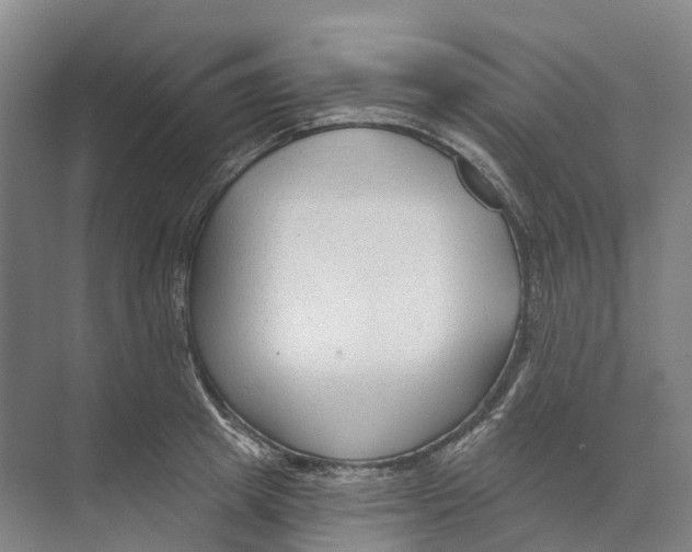 X0000073990849200609181740