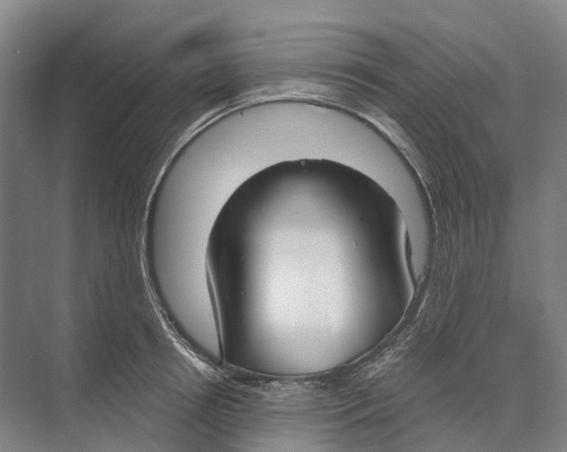 X0000073990850200609181740