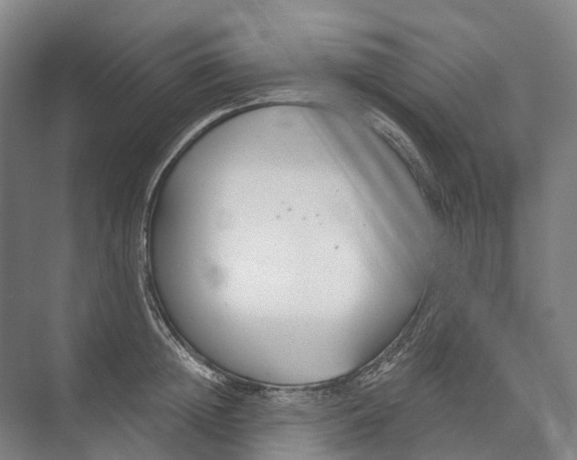 X0000073990852200609181740