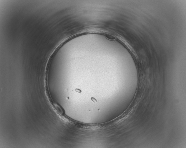 X0000073990853200609181740