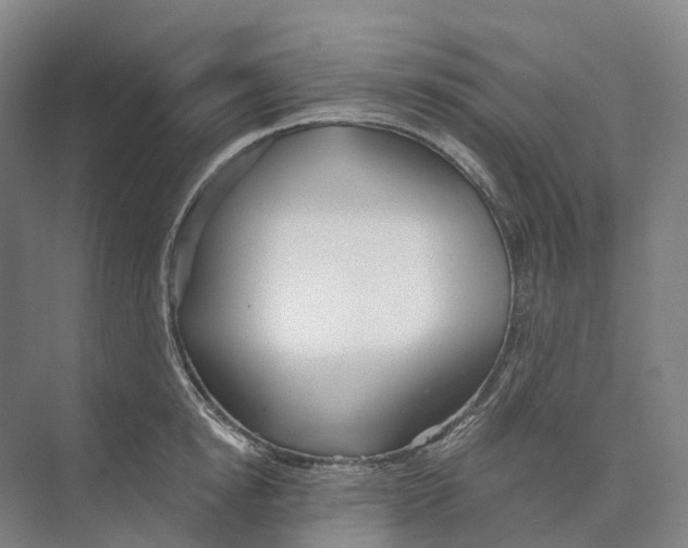 X0000073990854200609181740