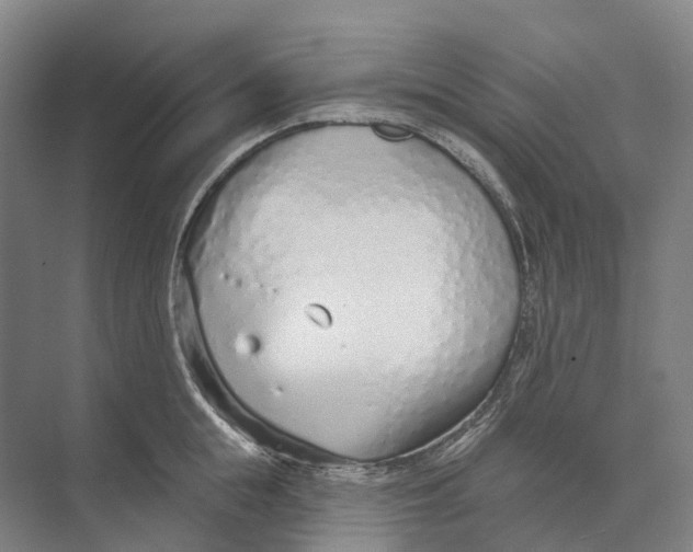 X0000073990855200609181740