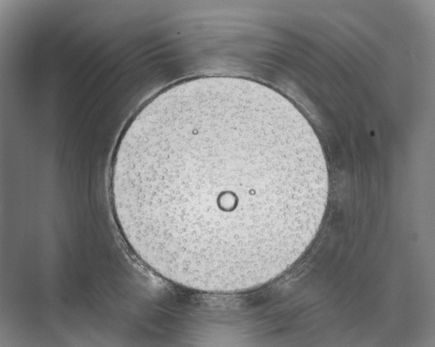 X0000073990856200609181740