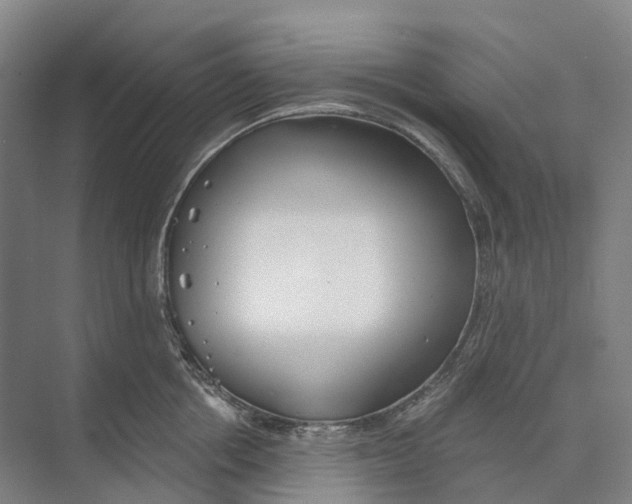 X0000073990858200609181740