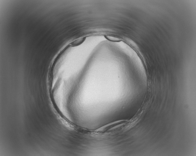 X0000073990859200609181740