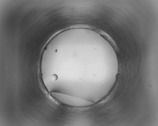 X0000073990860200609181740