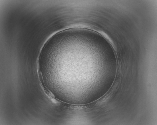 X0000073990862200609181740