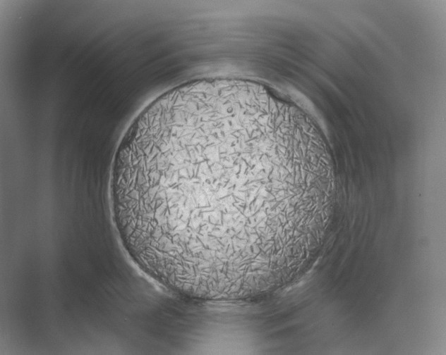 X0000073990863200609181741