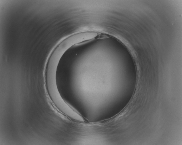 X0000073990864200609181741