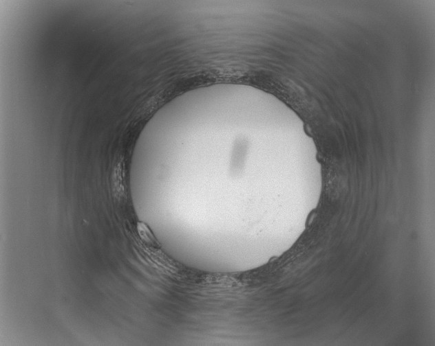 X0000073990866200609181740