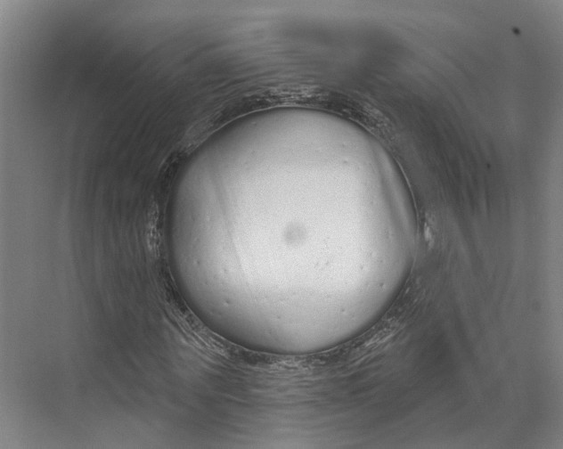 X0000073990867200609181740