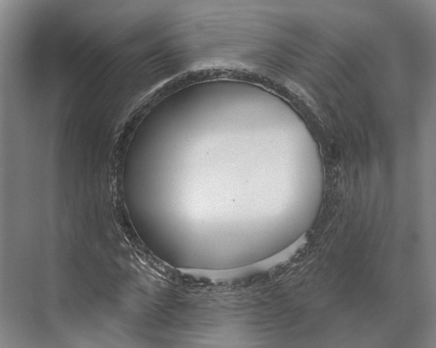 X0000073990872200609181740