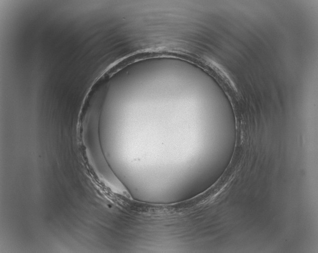 X0000073990876200609181740