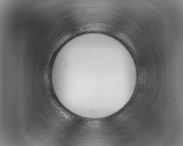 X0000073990882200609181739