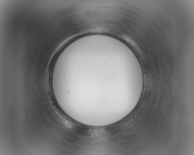 X0000073990886200609181739