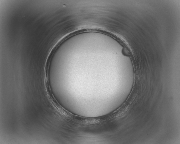 X0000073990887200609181739