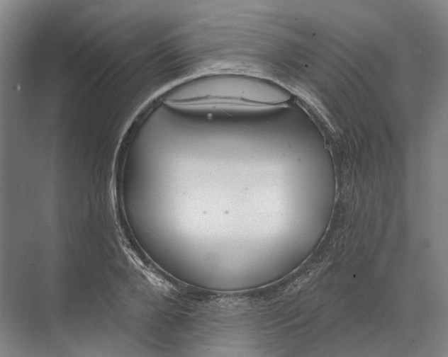 X0000073990888200609181739