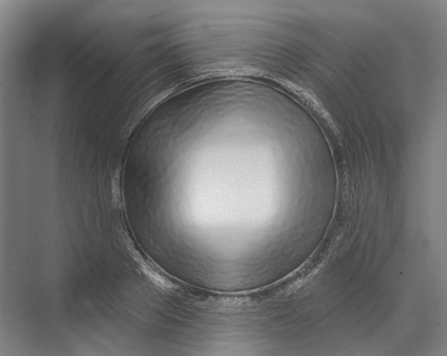 X0000073990889200609181739