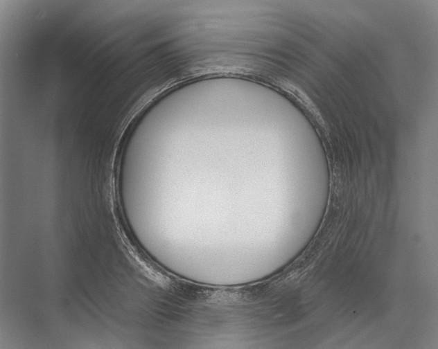 X0000073990890200609181739