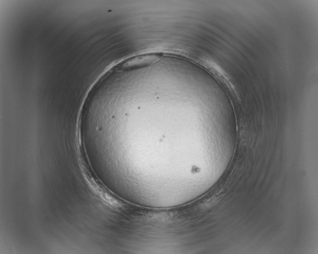 X0000073990892200609181739