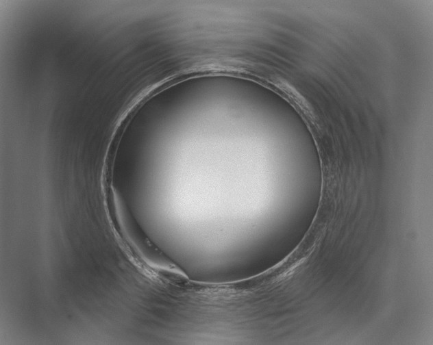 X0000073990893200609181739