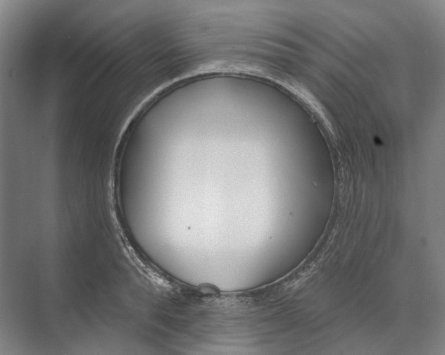 X0000073990896200609181739