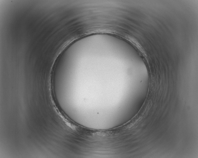 X0000073990898200609181739