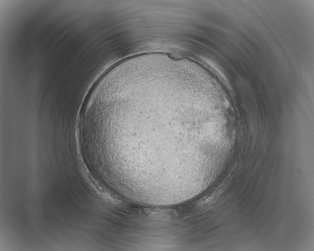 X0000073990899200609181739