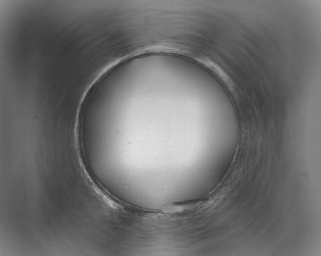 X0000073990902200609181739