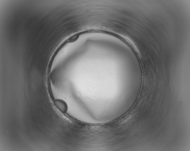 X0000073990903200609181739