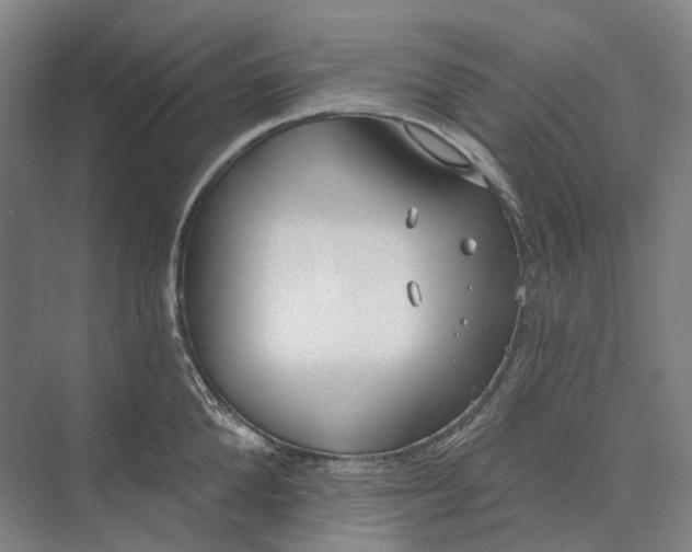 X0000073990904200609181739