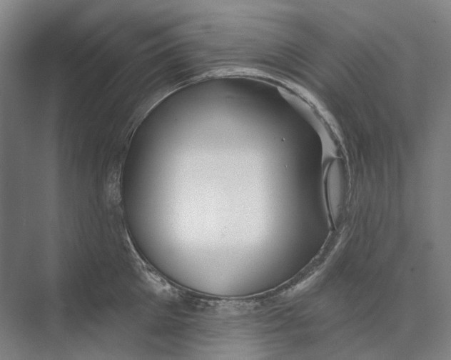 X0000073990905200609181739