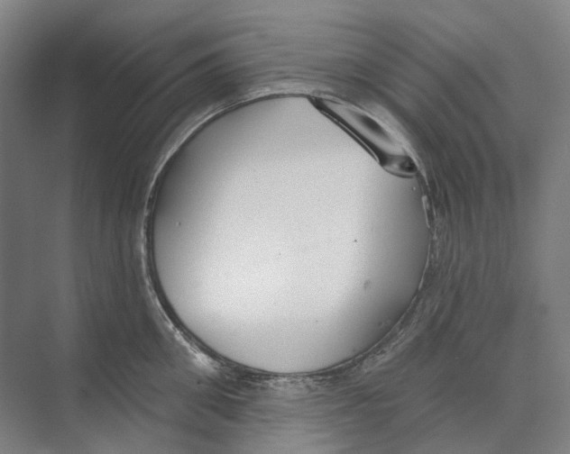 X0000073990906200609181739