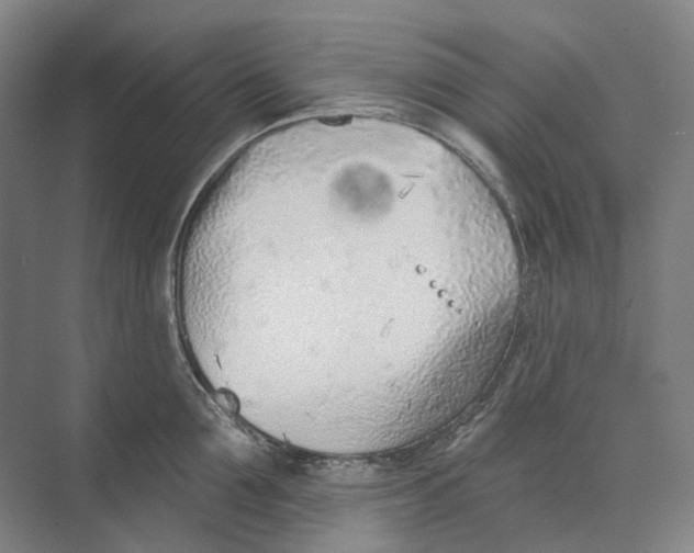 X0000073990907200609181739