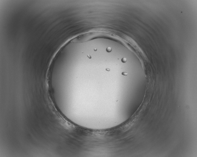 X0000073990908200609181739