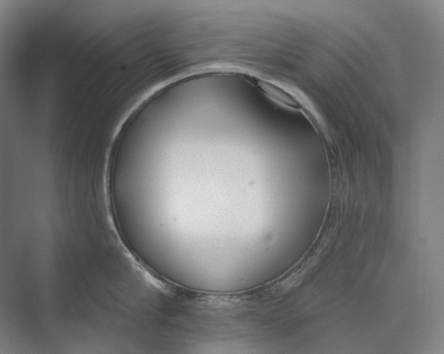 X0000073990910200609181739