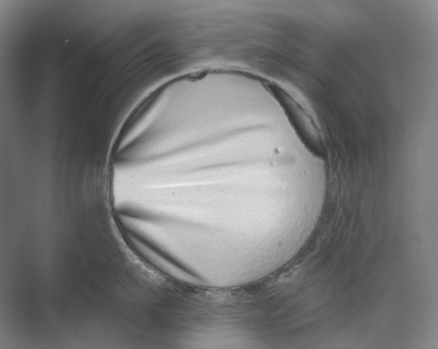 X0000073990911200609181739