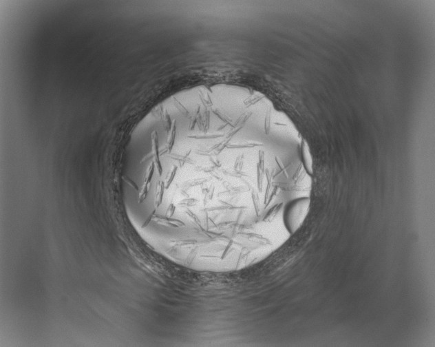 X0000073990913200609181738