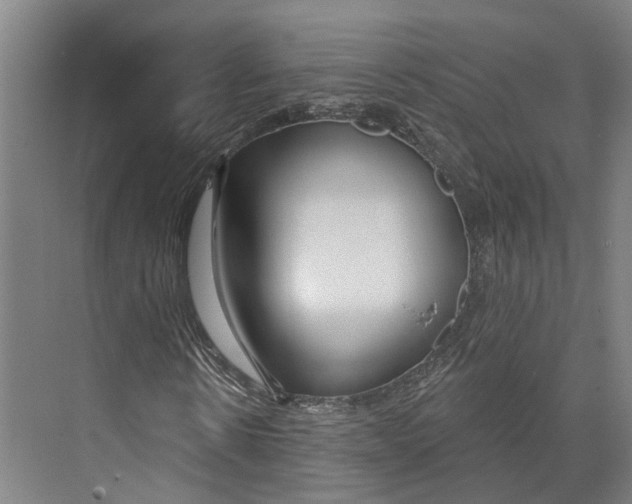 X0000073990914200609181738