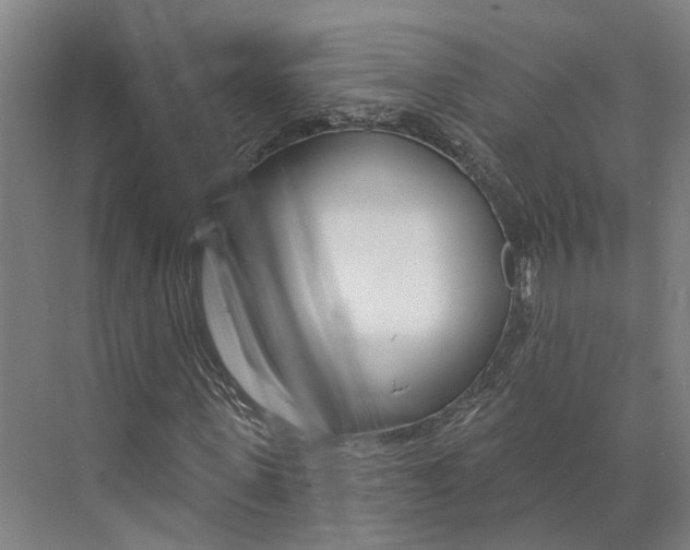 X0000073990915200609181738