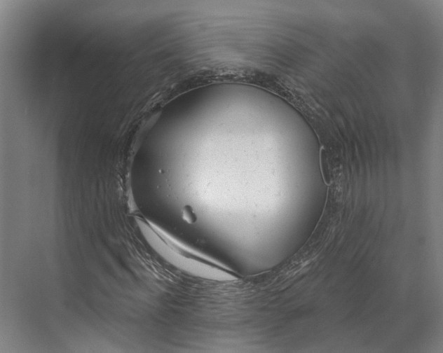 X0000073990916200609181738