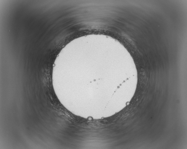 X0000073990918200609181738