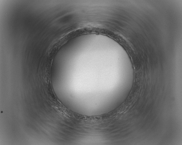 X0000073990919200609181738