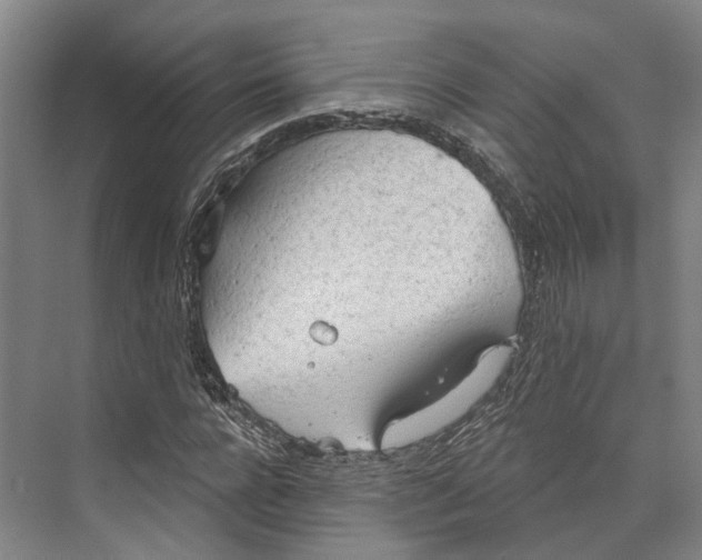 X0000073990920200609181738