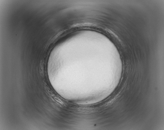 X0000073990921200609181738