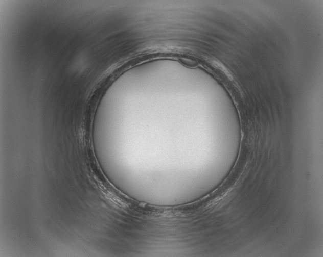 X0000073990922200609181738