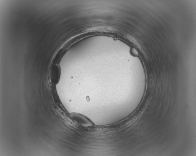 X0000073990923200609181738