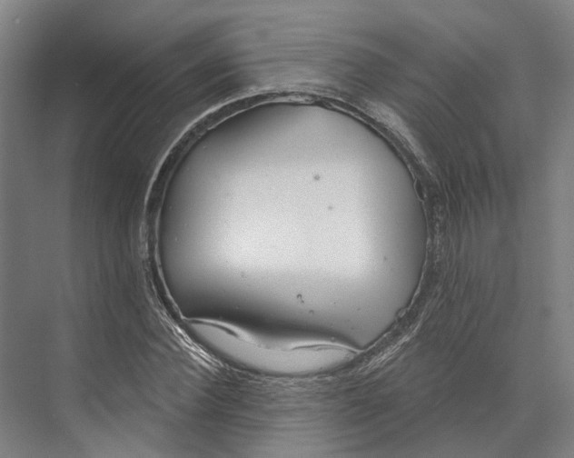 X0000073990924200609181738